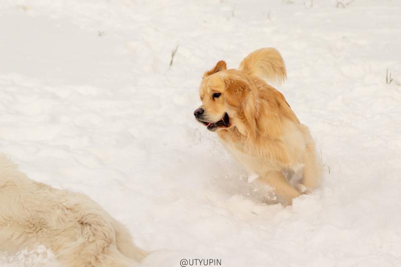 
              
              
              [
                Canon EOS 200D,
              
              
                EF50mm f/1.8 STM,
              
              
                50 mm,
              
              
                1/2000,
              
              
                f/2.5,
              
              
                ISO100
              ]
            