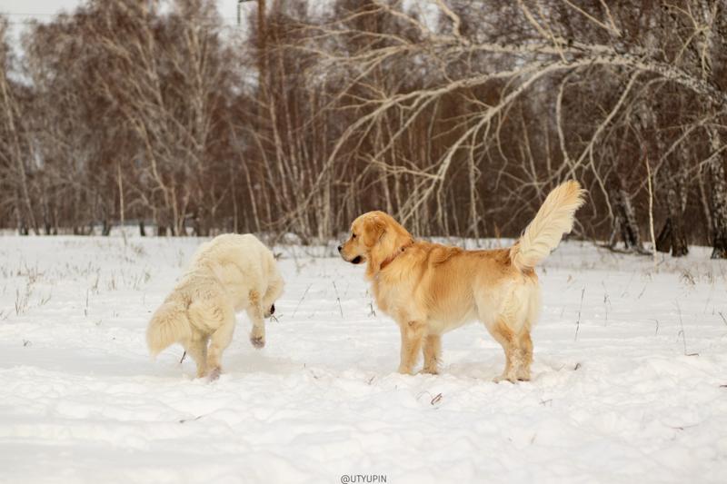 
              
              
              [
                Canon EOS 200D,
              
              
                EF50mm f/1.8 STM,
              
              
                50 mm,
              
              
                1/2000,
              
              
                f/2.5,
              
              
                ISO125
              ]
            