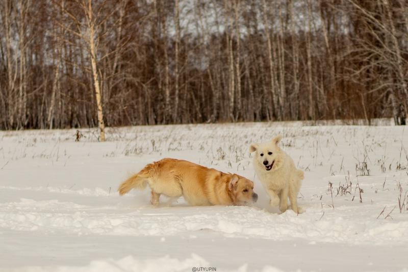 
              
              
              [
                Canon EOS 200D,
              
              
              
                50 mm,
              
              
                1/2000,
              
              
                f/2.5,
              
              
                ISO100
              ]
            