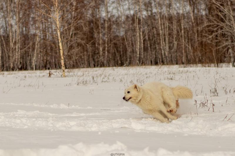 
              
              
              [
                Canon EOS 200D,
              
              
                EF50mm f/1.8 STM,
              
              
                50 mm,
              
              
                1/2000,
              
              
                f/2.5,
              
              
                ISO100
              ]
            