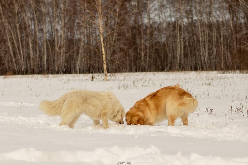 
              
              
              [
                Canon EOS 200D,
              
              
                EF50mm f/1.8 STM,
              
              
                50 mm,
              
              
                1/2000,
              
              
                f/2.5,
              
              
                ISO100
              ]
            