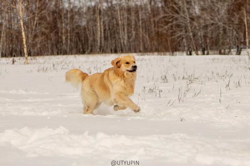 
              
              
              [
                Canon EOS 200D,
              
              
                EF50mm f/1.8 STM,
              
              
                50 mm,
              
              
                1/2000,
              
              
                f/2.5,
              
              
                ISO100
              ]
            