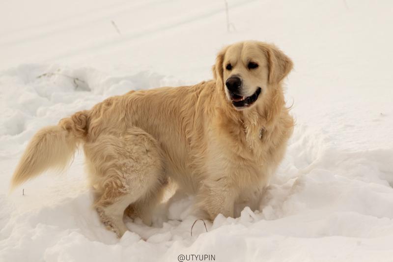 
              
              
              [
                Canon EOS 200D,
              
              
                EF50mm f/1.8 STM,
              
              
                50 mm,
              
              
                1/2000,
              
              
                f/2.5,
              
              
                ISO100
              ]
            