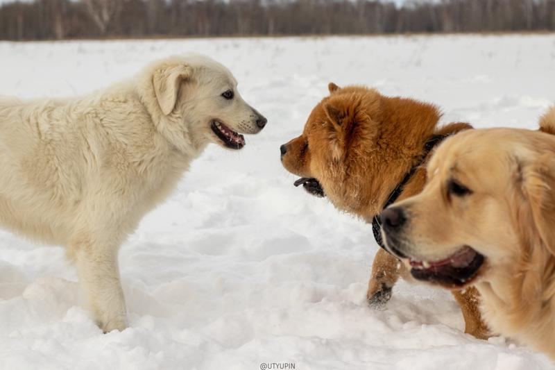 
              
              
              [
                Canon EOS 200D,
              
              
                EF50mm f/1.8 STM,
              
              
                50 mm,
              
              
                1/2000,
              
              
                f/4.5,
              
              
                ISO250
              ]
            