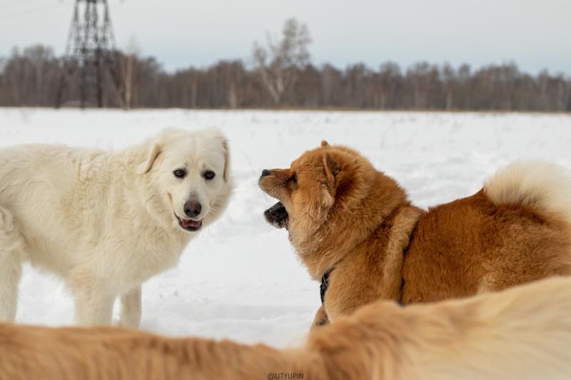 
              
              
              [
                Canon EOS 200D,
              
              
                EF50mm f/1.8 STM,
              
              
                50 mm,
              
              
                1/2000,
              
              
                f/4.5,
              
              
                ISO320
              ]
            