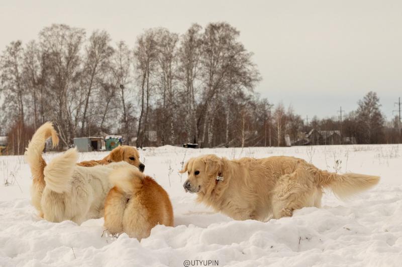 
              
              
              [
                Canon EOS 200D,
              
              
              
                50 mm,
              
              
                1/1250,
              
              
                f/8,
              
              
                ISO400
              ]
            