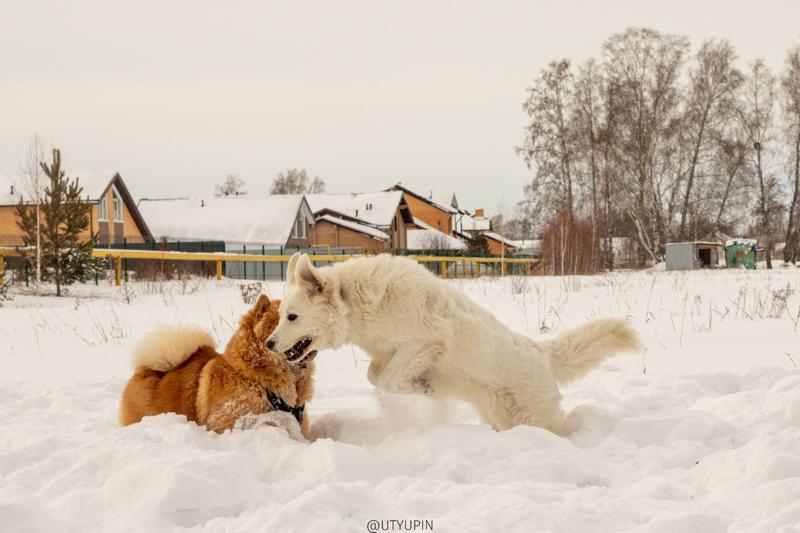 
              
              
              [
                Canon EOS 200D,
              
              
                EF50mm f/1.8 STM,
              
              
                50 mm,
              
              
                1/1250,
              
              
                f/8,
              
              
                ISO400
              ]
            
