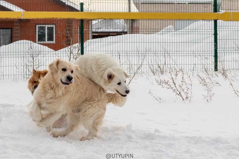 
              
              
              [
                Canon EOS 200D,
              
              
              
                50 mm,
              
              
                1/1250,
              
              
                f/8,
              
              
                ISO500
              ]
            