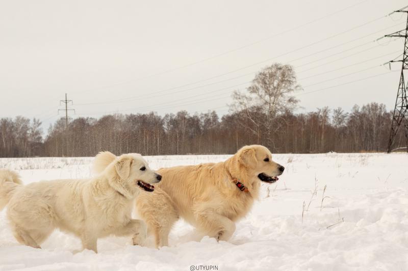 
              
              
              [
                Canon EOS 200D,
              
              
                EF50mm f/1.8 STM,
              
              
                50 mm,
              
              
                1/1250,
              
              
                f/8,
              
              
                ISO500
              ]
            