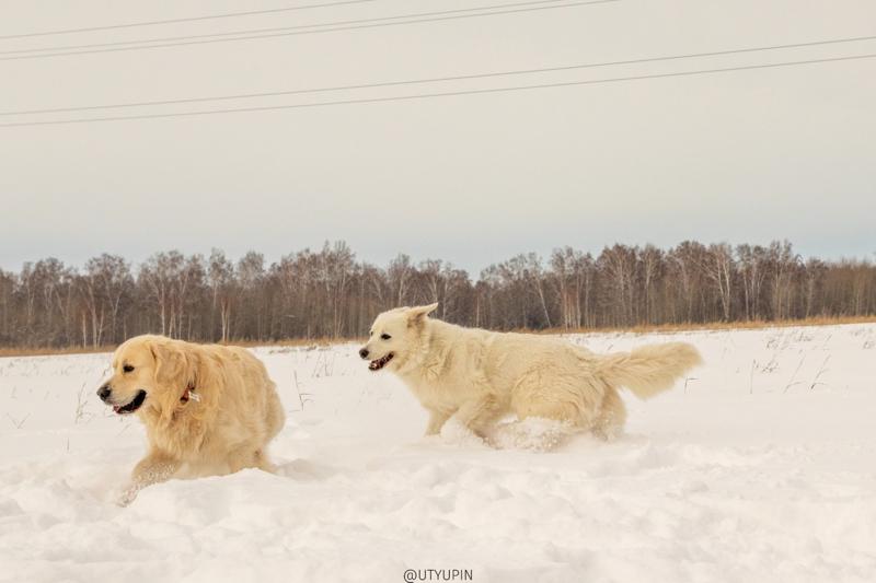 
              
              
              [
                Canon EOS 200D,
              
              
                EF50mm f/1.8 STM,
              
              
                50 mm,
              
              
                1/1250,
              
              
                f/9,
              
              
                ISO500
              ]
            