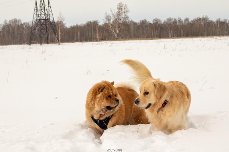 
              
              
              [
                Canon EOS 200D,
              
              
                EF50mm f/1.8 STM,
              
              
                50 mm,
              
              
                1/1250,
              
              
                f/9,
              
              
                ISO800
              ]
            