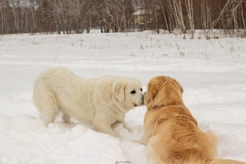 
              
              
              [
                Canon EOS 200D,
              
              
                EF50mm f/1.8 STM,
              
              
                50 mm,
              
              
                1/1250,
              
              
                f/9,
              
              
                ISO640
              ]
            