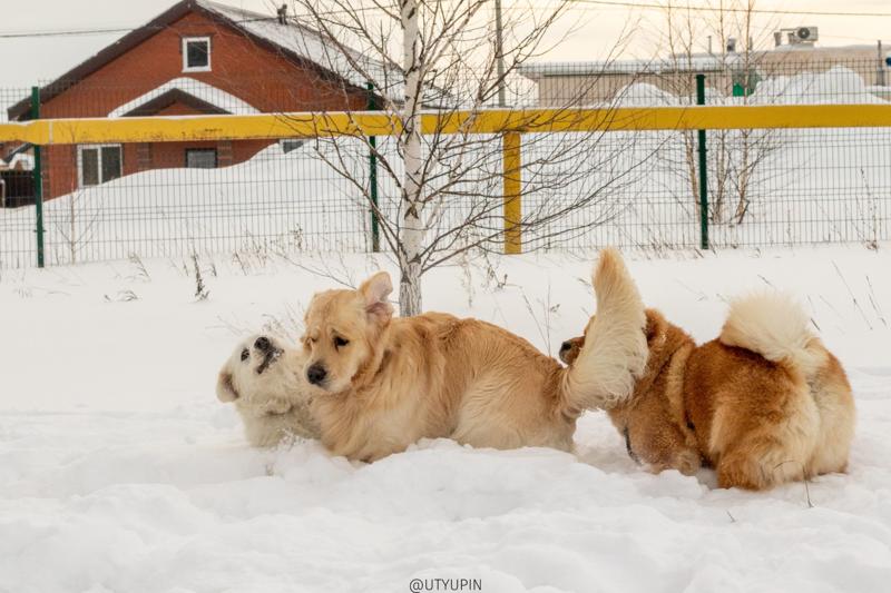 
              
              
              [
                Canon EOS 200D,
              
              
                EF50mm f/1.8 STM,
              
              
                50 mm,
              
              
                1/1250,
              
              
                f/9,
              
              
                ISO640
              ]
            