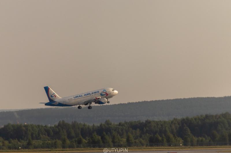 
              
              
              [
                Canon EOS 200D,
              
              
                EF-S55-250mm f/4-5.6 IS STM,
              
              
                250 mm,
              
              
                1/1000,
              
              
                f/5.6,
              
              
                ISO400
              ]
            