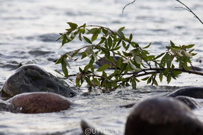 
              
              
              [
                Canon EOS 1100D,
              
              
                EF-S55-250mm f/4-5.6 IS II,
              
              
                200 mm,
              
              
                1/500,
              
              
                f/8,
              
              
                ISO800
              ]
            