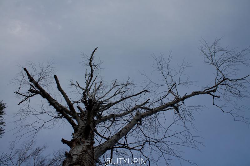 
              
              
              [
                Canon EOS 1100D,
              
              
                EF-S18-55mm f/3.5-5.6 III,
              
              
                18 mm,
              
              
                1/160,
              
              
                f/8,
              
              
                ISO400
              ]
            