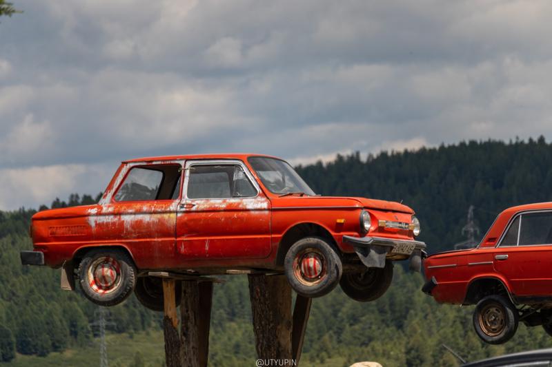 
              
              
              [
                Canon EOS 200D,
              
              
                EF-S55-250mm f/4-5.6 IS STM,
              
              
                222 mm,
              
              
                1/1000,
              
              
                f/5.6,
              
              
                ISO100
              ]
            