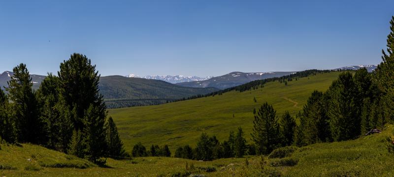 
              
              
              [
                Canon EOS 200D,
              
              
                EF-S55-250mm f/4-5.6 IS STM,
              
              
                55 mm,
              
              
                1/1000,
              
              
                f/8,
              
              
                ISO100
              ]
            