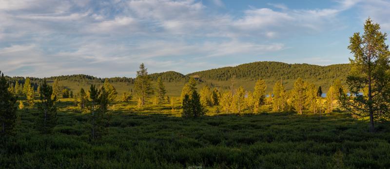 
              
              
              [
                Canon EOS 200D,
              
              
                EF-S55-250mm f/4-5.6 IS STM,
              
              
                55 mm,
              
              
                1/1000,
              
              
                f/4,
              
              
                ISO200
              ]
            