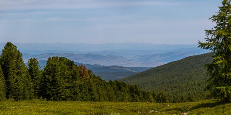 
              
              
              [
                Canon EOS 200D,
              
              
                EF-S55-250mm f/4-5.6 IS STM,
              
              
                113 mm,
              
              
                1/1600,
              
              
                f/5,
              
              
                ISO100
              ]
            