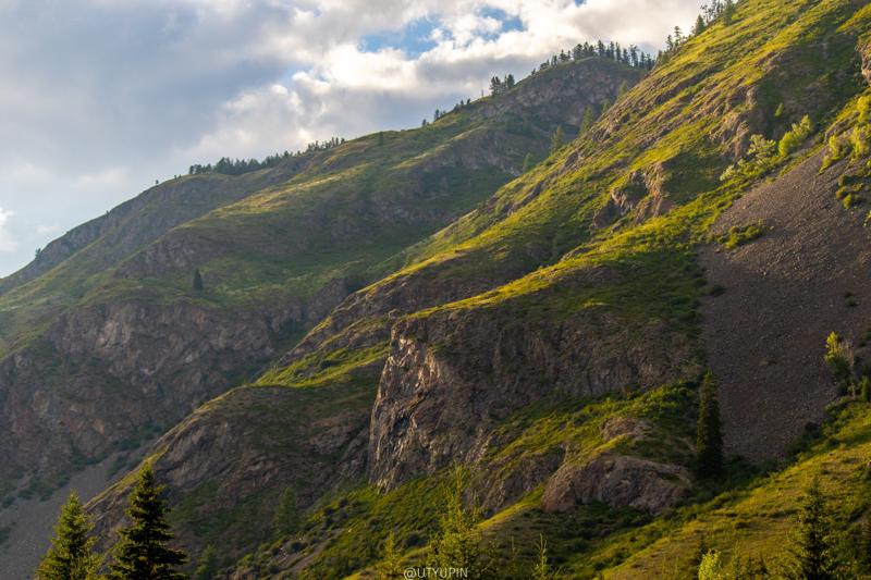 
              
              
              [
                Canon EOS 200D,
              
              
                EF-S55-250mm f/4-5.6 IS STM,
              
              
                55 mm,
              
              
                1/1000,
              
              
                f/4.5,
              
              
                ISO200
              ]
            