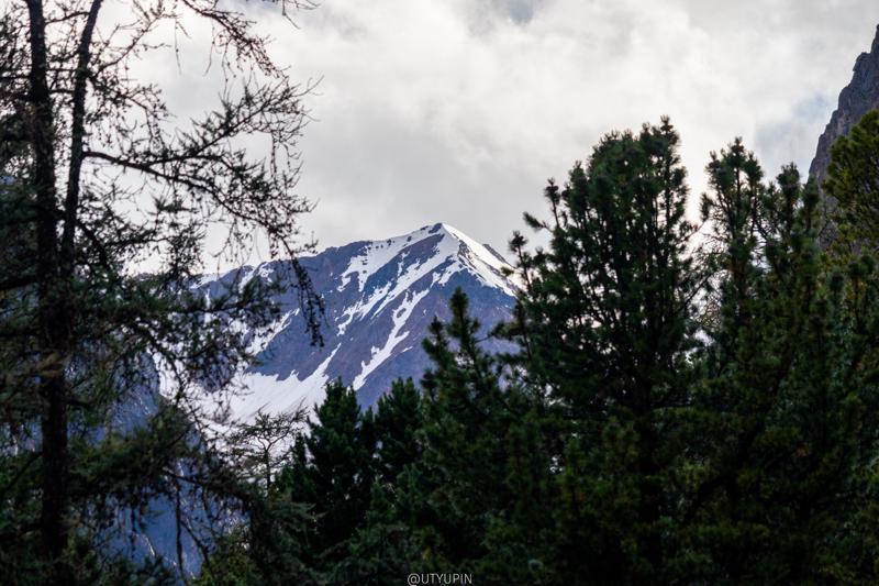 
              
              
              [
                Canon EOS 200D,
              
              
                EF-S55-250mm f/4-5.6 IS STM,
              
              
                113 mm,
              
              
                1/640,
              
              
                f/5.6,
              
              
                ISO100
              ]
            