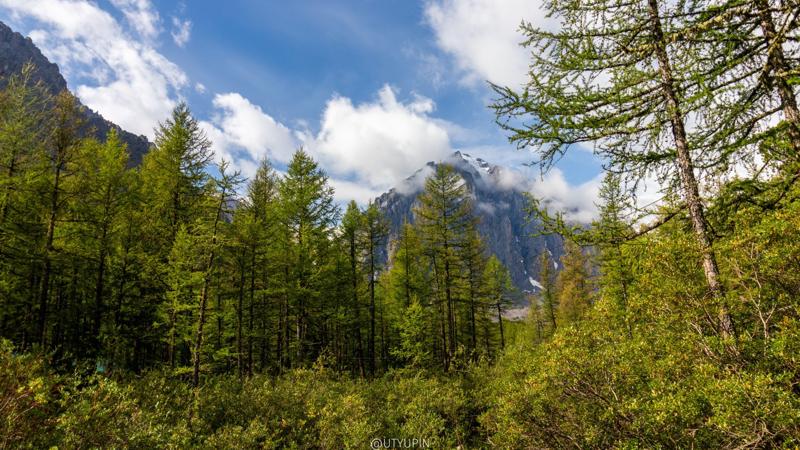 
              
              
              [
                Canon EOS 200D,
              
              
                EF-S10-18mm f/4.5-5.6 IS STM,
              
              
                18 mm,
              
              
                1/1000,
              
              
                f/6.3,
              
              
                ISO100
              ]
            