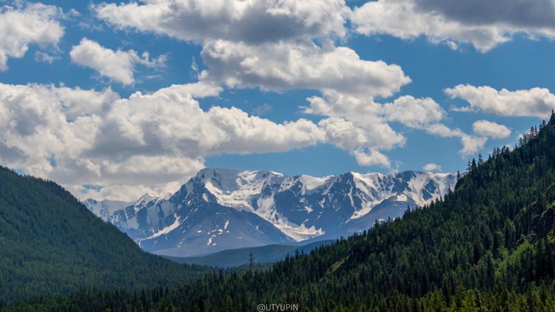 
              
              
              [
                Canon EOS 200D,
              
              
                EF-S55-250mm f/4-5.6 IS STM,
              
              
                55 mm,
              
              
                1/2500,
              
              
                f/6.3,
              
              
                ISO100
              ]
            