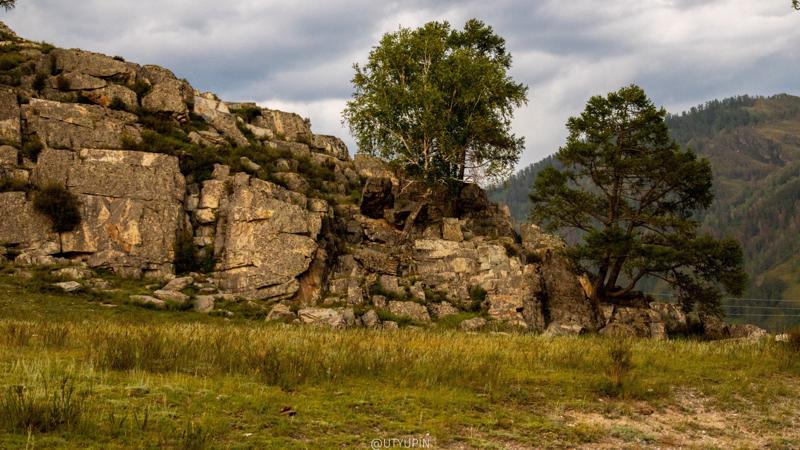 
              
              
              [
                Canon EOS 200D,
              
              
                EF-S55-250mm f/4-5.6 IS STM,
              
              
                55 mm,
              
              
                1/1250,
              
              
                f/4,
              
              
                ISO400
              ]
            