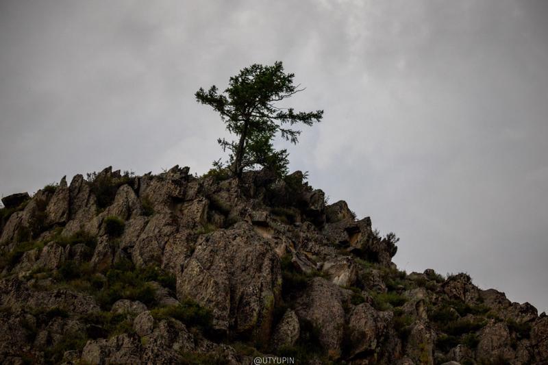 
              
              
              [
                Canon EOS 200D,
              
              
                EF-S55-250mm f/4-5.6 IS STM,
              
              
                55 mm,
              
              
                1/2000,
              
              
                f/4,
              
              
                ISO400
              ]
            