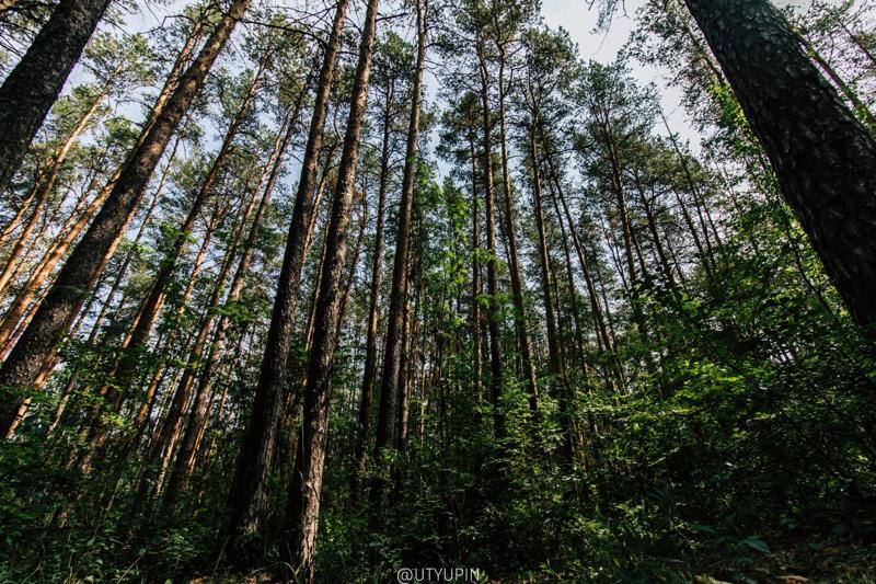 
              
              
              [
                Canon EOS 200D,
              
              
                EF-S10-18mm f/4.5-5.6 IS STM,
              
              
                10 mm,
              
              
                1/500,
              
              
                f/4.5,
              
              
                ISO200
              ]
            