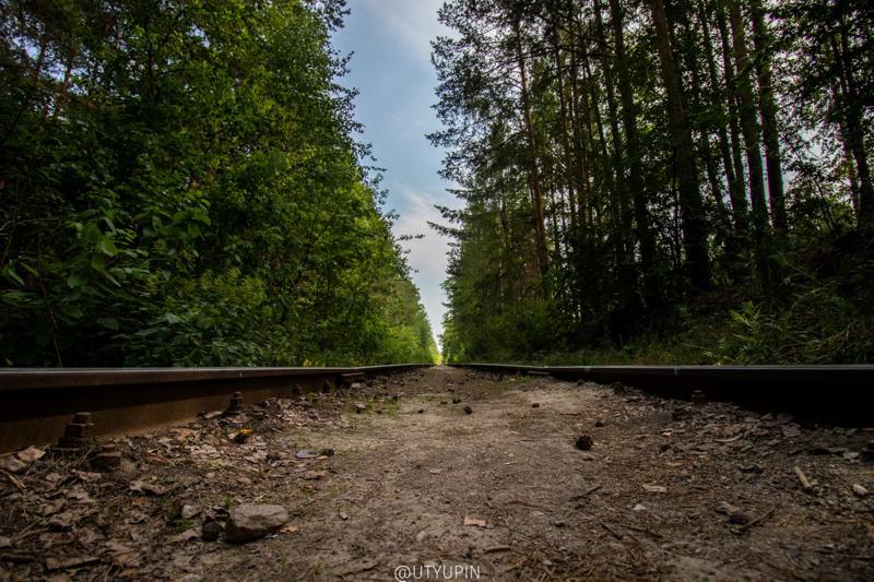 
              
              
              [
                Canon EOS 200D,
              
              
                EF-S10-18mm f/4.5-5.6 IS STM,
              
              
                10 mm,
              
              
                1/800,
              
              
                f/4.5,
              
              
                ISO200
              ]
            