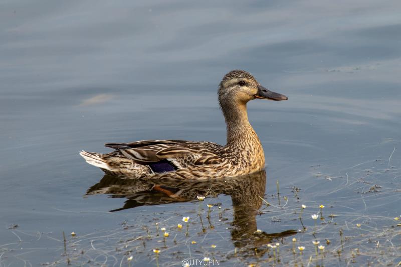 
              
              
              [
                Canon EOS 200D,
              
              
                EF-S55-250mm f/4-5.6 IS STM,
              
              
                250 mm,
              
              
                1/400,
              
              
                f/8,
              
              
                ISO200
              ]
            