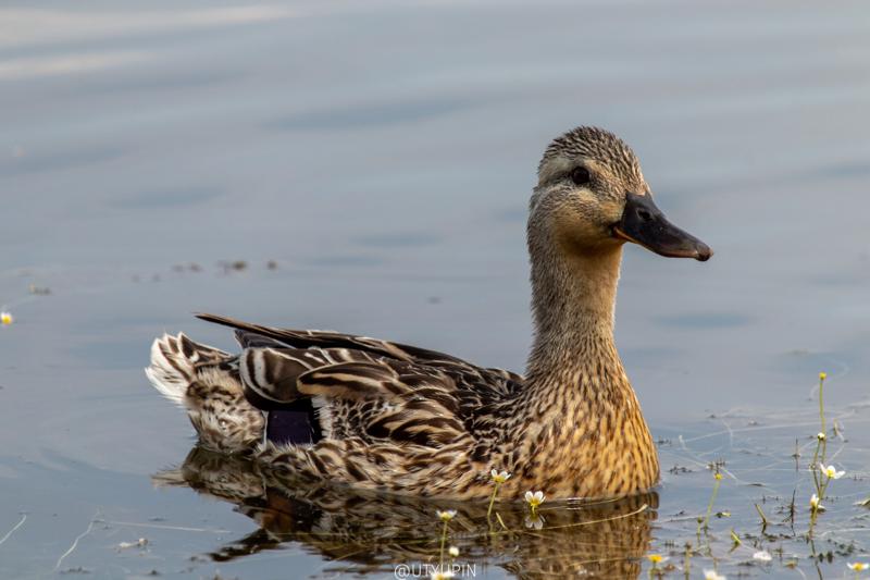 
              
              
              [
                Canon EOS 200D,
              
              
                EF-S55-250mm f/4-5.6 IS STM,
              
              
                250 mm,
              
              
                1/400,
              
              
                f/8,
              
              
                ISO200
              ]
            