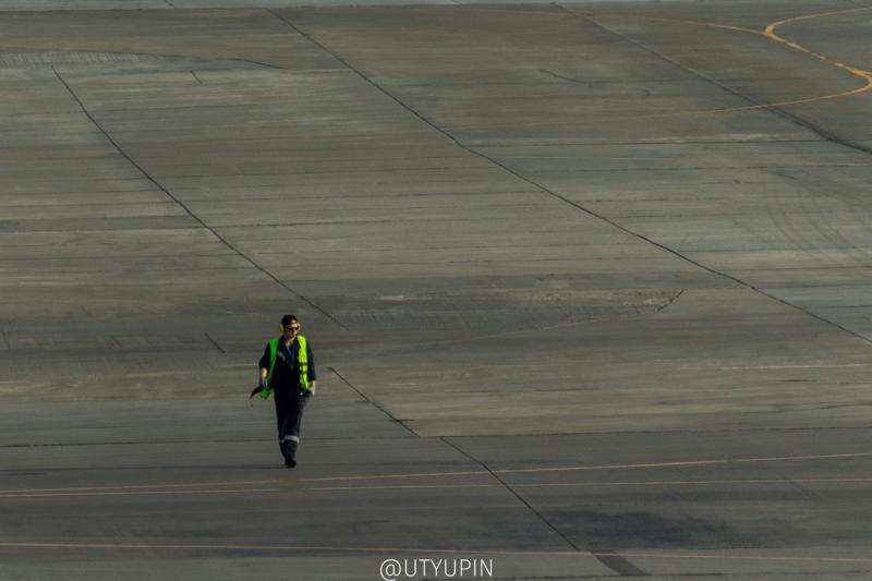 
              
              
              [
                Canon EOS 200D,
              
              
                EF-S55-250mm f/4-5.6 IS STM,
              
              
                250 mm,
              
              
                1/800,
              
              
                f/5.6,
              
              
                ISO400
              ]
            