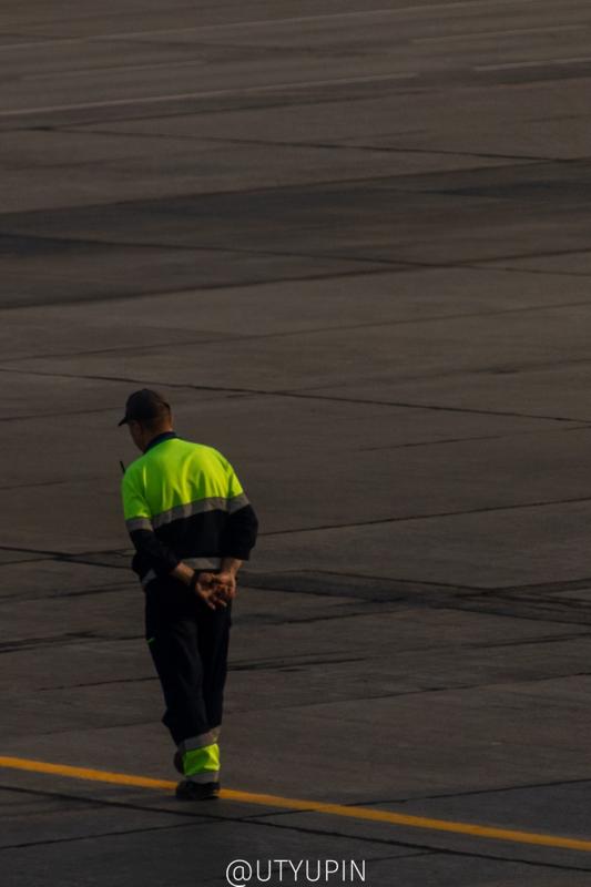 
              
              
              [
                Canon EOS 200D,
              
              
                EF-S55-250mm f/4-5.6 IS STM,
              
              
                250 mm,
              
              
                1/1000,
              
              
                f/5.6,
              
              
                ISO400
              ]
            