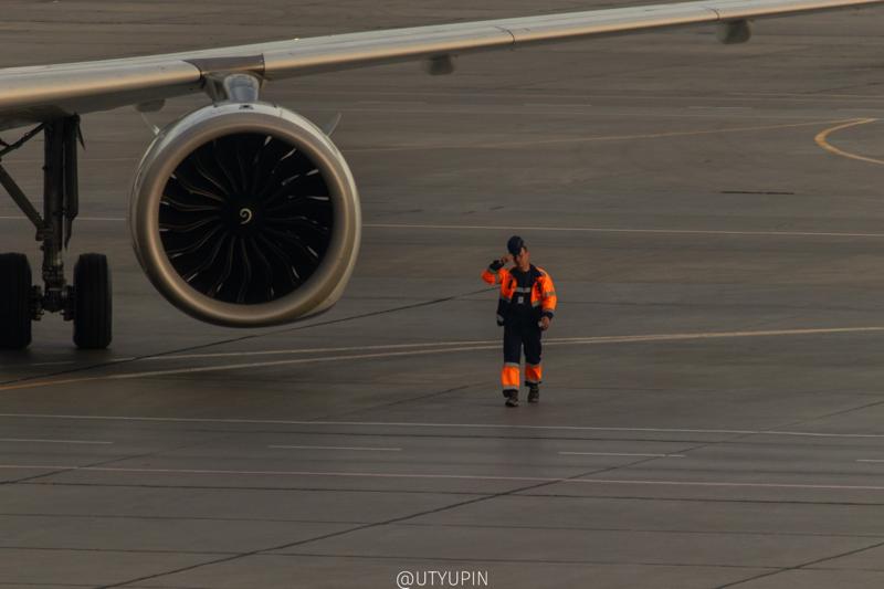 
              
              
              [
                Canon EOS 200D,
              
              
                EF-S55-250mm f/4-5.6 IS STM,
              
              
                250 mm,
              
              
                1/1000,
              
              
                f/5.6,
              
              
                ISO400
              ]
            