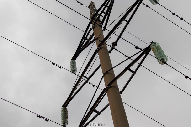 
              
              
              [
                Canon EOS 200D,
              
              
                EF-S55-250mm f/4-5.6 IS STM,
              
              
                55 mm,
              
              
                1/400,
              
              
                f/4,
              
              
                ISO800
              ]
            