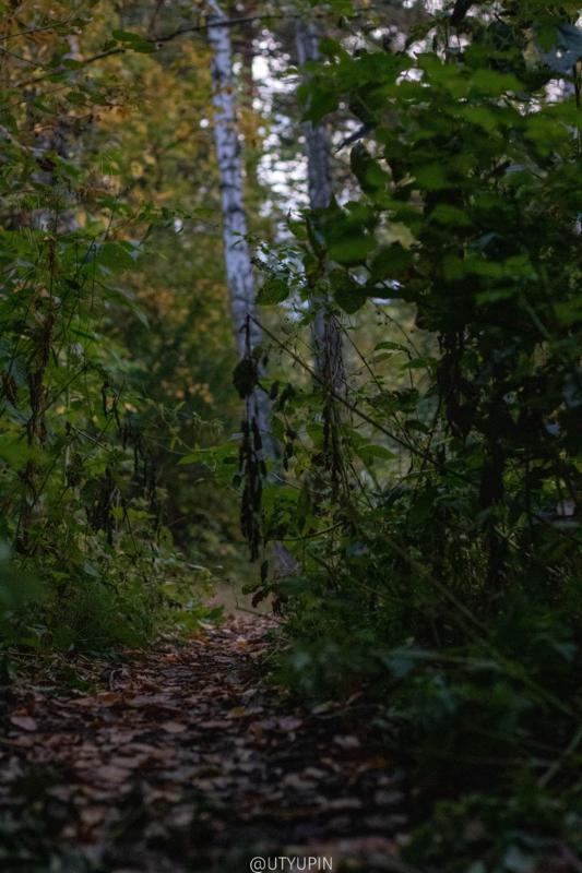 
              
              
              [
                Canon EOS 200D,
              
              
                EF50mm f/1.8 STM,
              
              
                50 mm,
              
              
                1/250,
              
              
                f/3.2,
              
              
                ISO3200
              ]
            