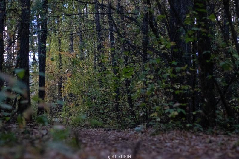 
              
              
              [
                Canon EOS 200D,
              
              
                EF50mm f/1.8 STM,
              
              
                50 mm,
              
              
                1/250,
              
              
                f/2.2,
              
              
                ISO3200
              ]
            