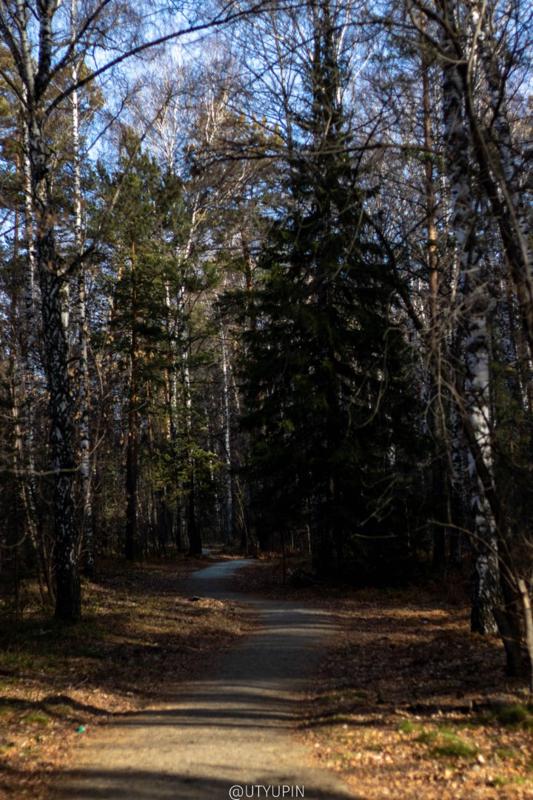 
              
              
              [
                Canon EOS 200D,
              
              
                EF50mm f/1.8 STM,
              
              
                50 mm,
              
              
                1/4000,
              
              
                f/2.5,
              
              
                ISO100
              ]
            