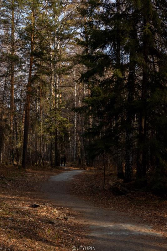 
              
              
              [
                Canon EOS 200D,
              
              
                EF50mm f/1.8 STM,
              
              
                50 mm,
              
              
                1/500,
              
              
                f/6.3,
              
              
                ISO100
              ]
            